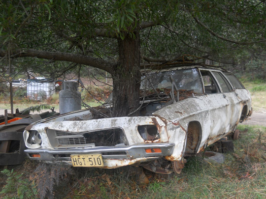 tree-car.jpg