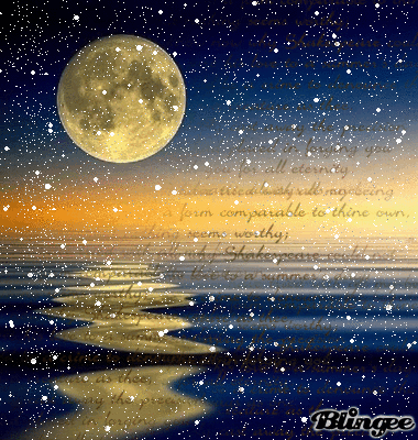803750228_1197596.gif