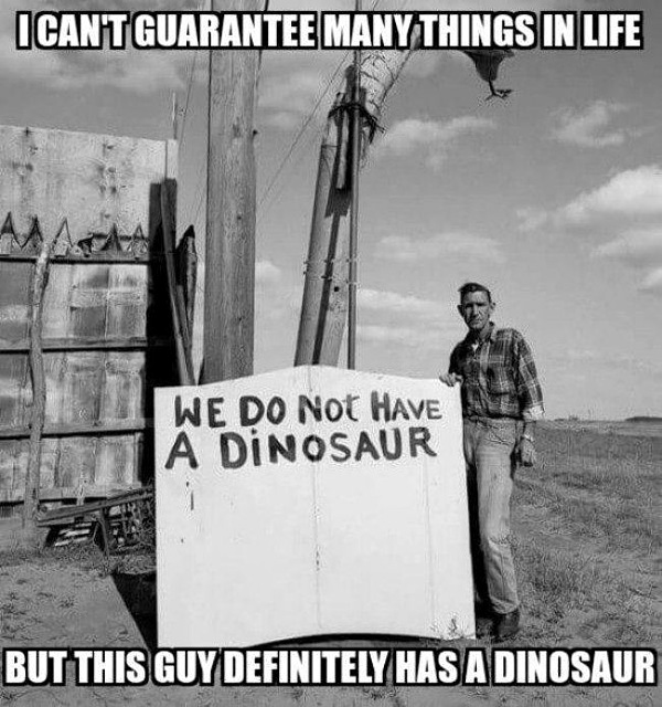 definitely-has-dinosaur.jpg