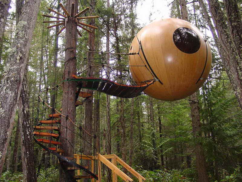 Unique-Globe-Tree-House-Design.jpg