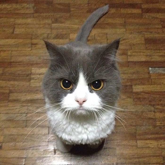 angry-11.jpg