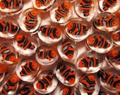 il_170x135.514344502_3cy6.jpg