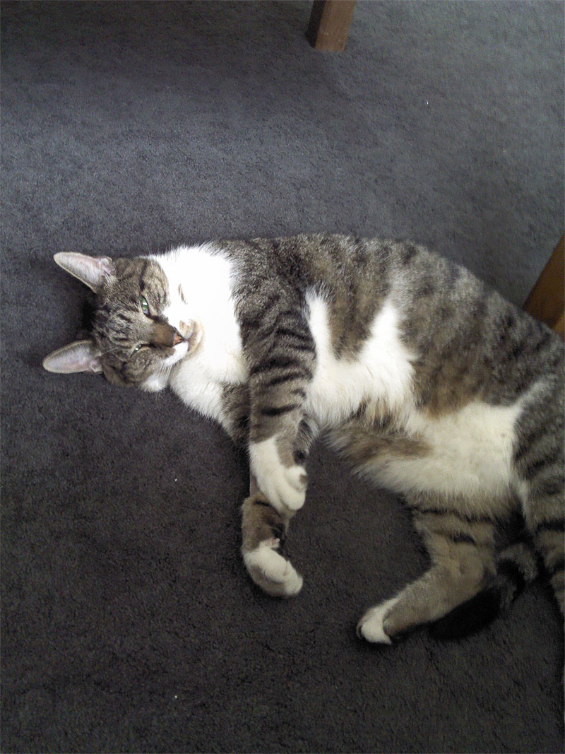 frances2.jpg