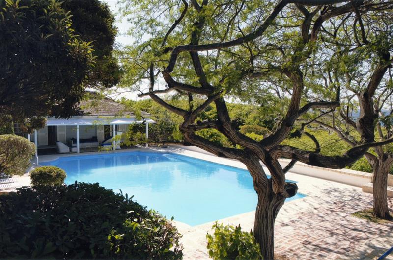pool-by-the-shade-of-trees-and-pavers.jpeg