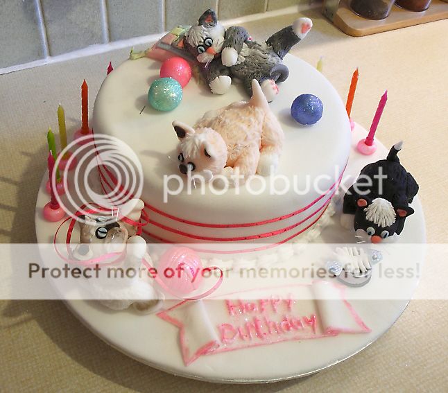 CatBirthdayCakeWeb.jpg