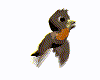vw7.gif