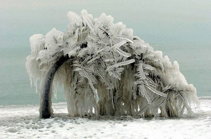 snow-and-ice-8.jpg