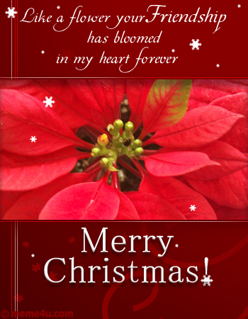 637-merry-christmas.jpg