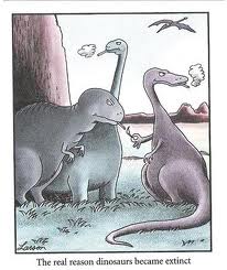 farside.jpg