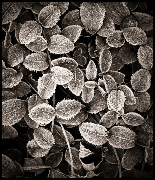untitled-1929-L.jpg