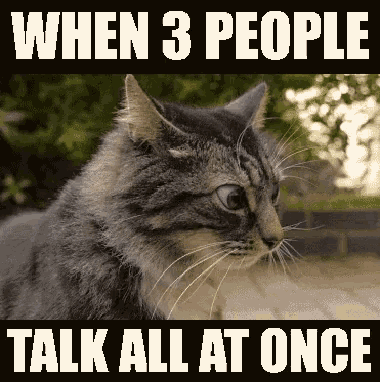 cat-when-three-people-talk-at-once.gif
