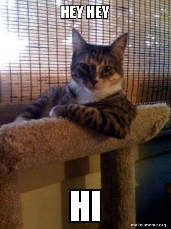 hey-hey-hi-38e0c5d782.jpg