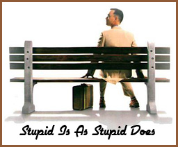 StupidIsAsStupidDoes1-1332506121.jpg