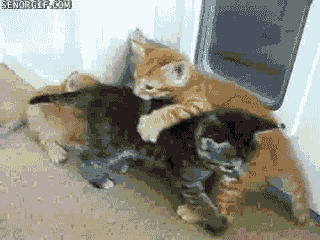 break-it-up-guys-break-it-up