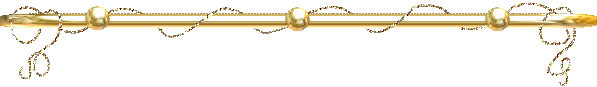 LINE2.gif