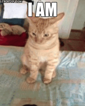 d4cb764a2170ab60260ed556b87ffc00.gif
