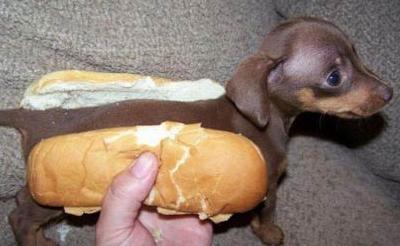 hotdog.jpg