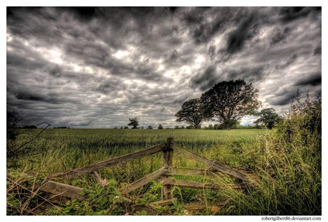 Fence_HDR_by_robertgilbert86.jpg