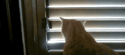 excuse-me-i-was-using-that