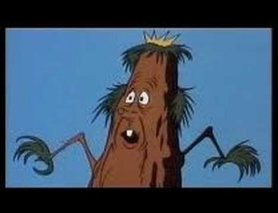 confused_tree-e1299091493246.jpg
