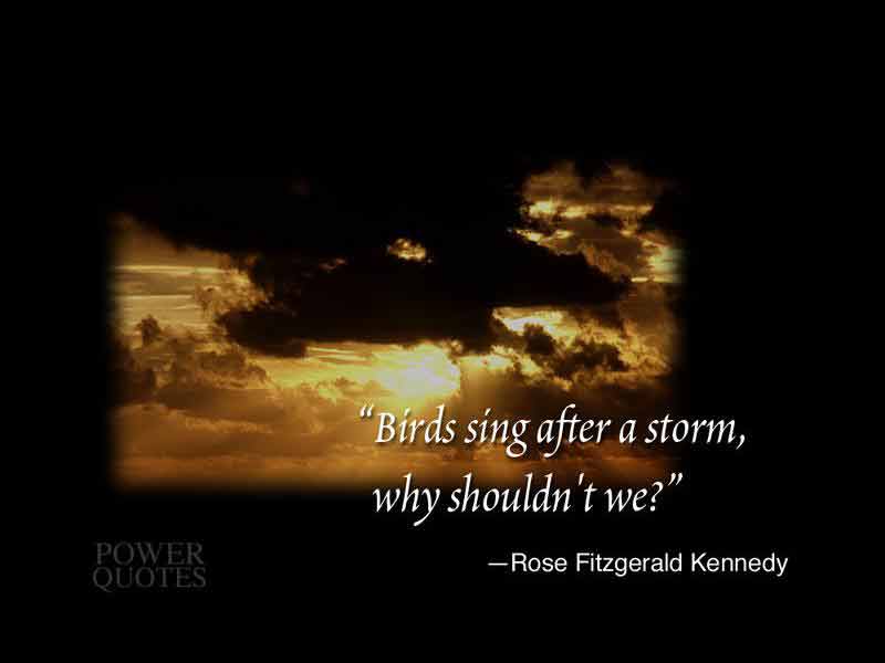 quote4.jpg