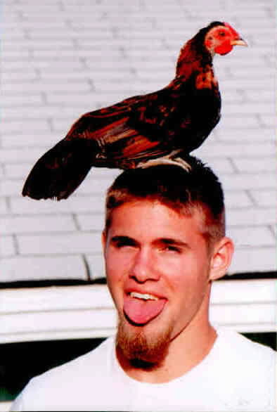 strange_pets08.jpg