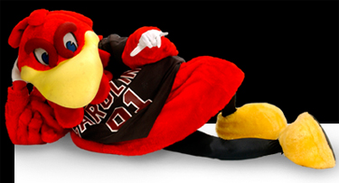 cocky.jpg