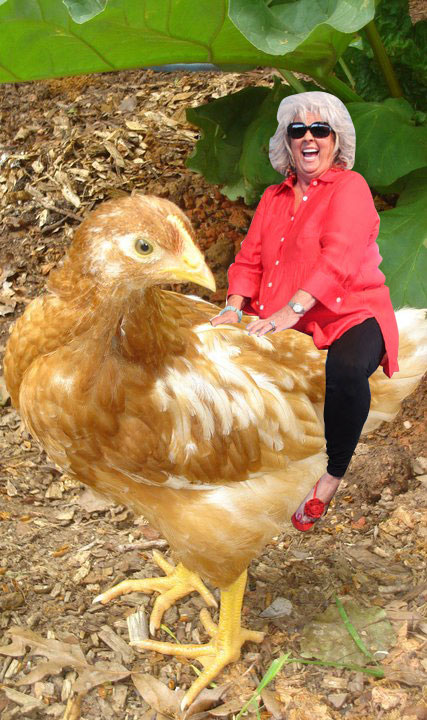 paula-deen-rides-chicken.jpg