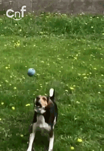 full-contact-fetch