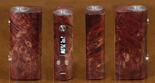 Mark_Bugs_Wood_mod__DNA_75.jpg