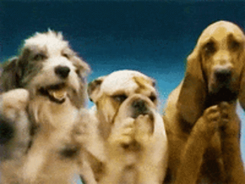dogs-clap.gif