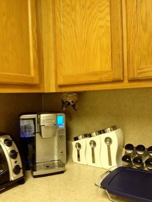 hide-and-seek-10.jpg
