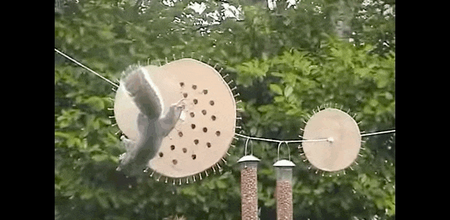 O2aN.gif