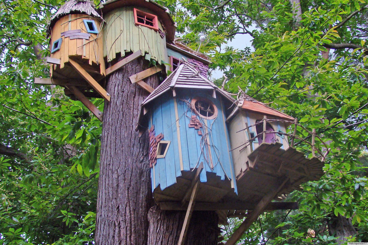 o-COOL-TREEHOUSE-DESIGNS-facebook.jpg