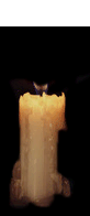 12.gif