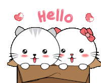 hello-sticker-hi-sticker.gif