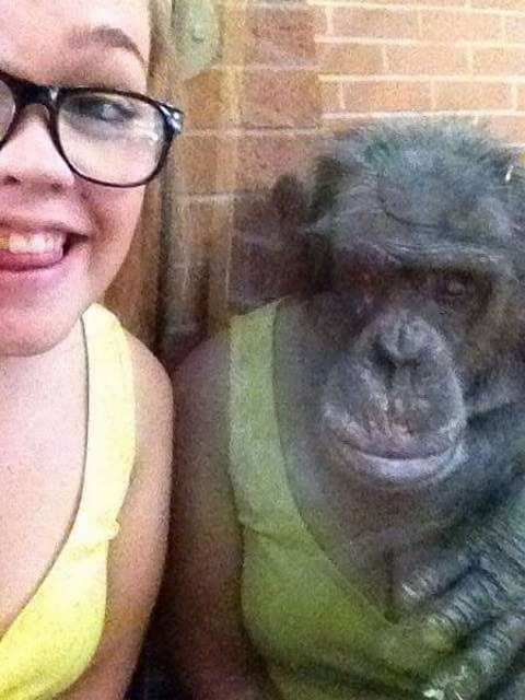 monkey-shirt-reflection.jpg