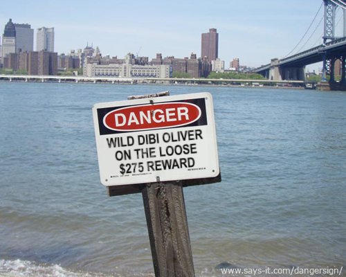 oliver.jpg