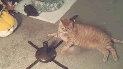 i-need-a-new-toy