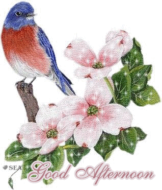 Good-Afternoon-With-Beautiful-Flow1.gif