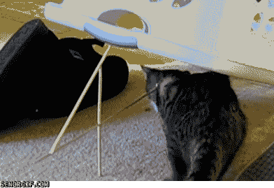 Ci3o.gif