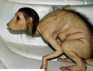 ratgirl.jpg