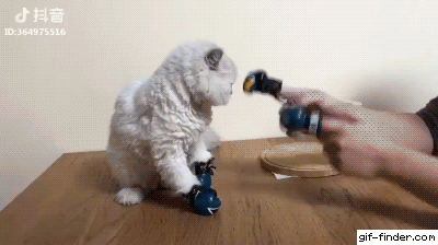 a65.gif