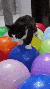 cat-balloon.gif