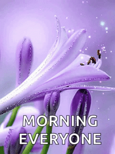 88c438b0cf7902d8e2515f0c16c91167.gif