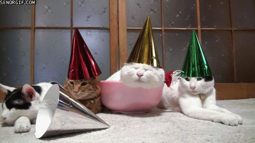 247d7706-dd44-4f33-a877-f6a21b913e72.gif
