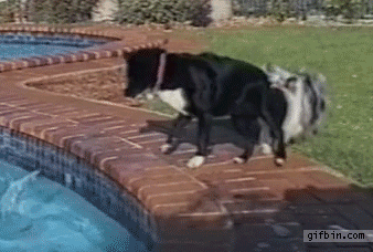 gifs_05.gif