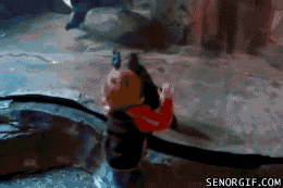 YwEiE.gif