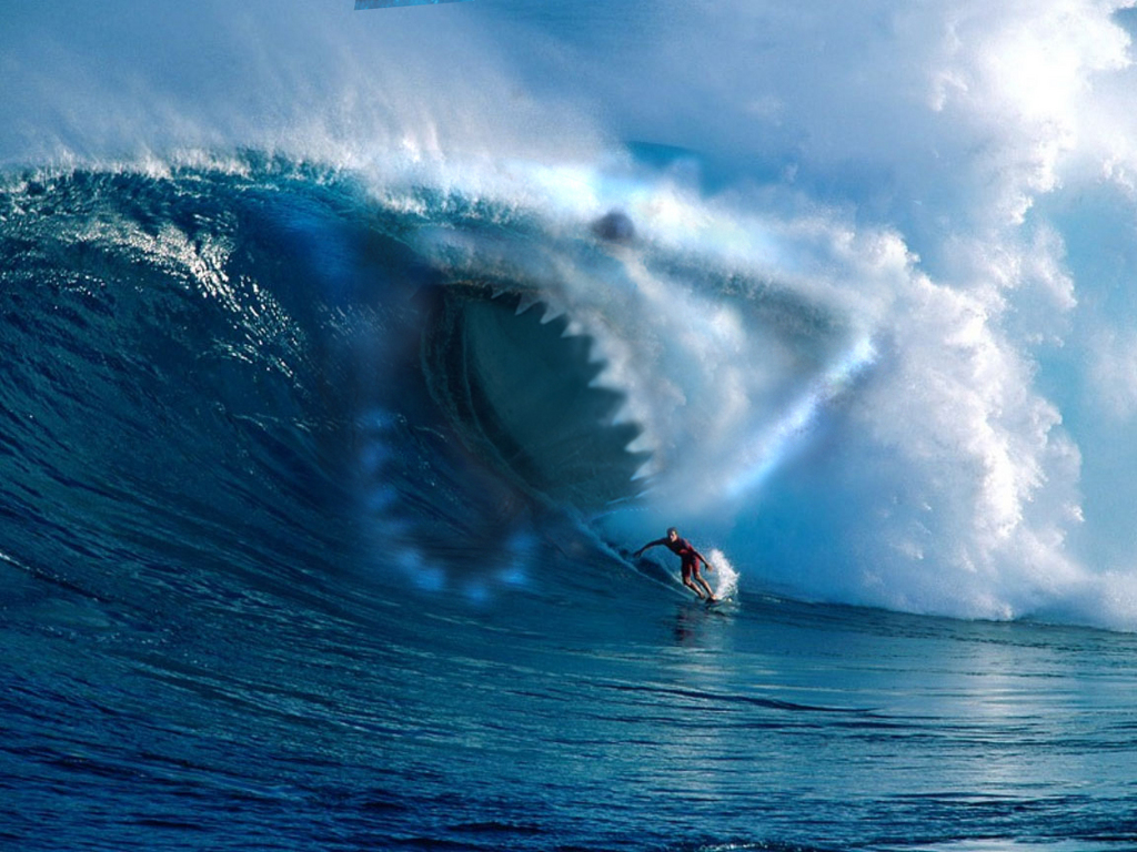 surfing-sharks.jpg