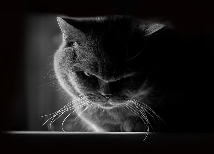 angry-4.jpg